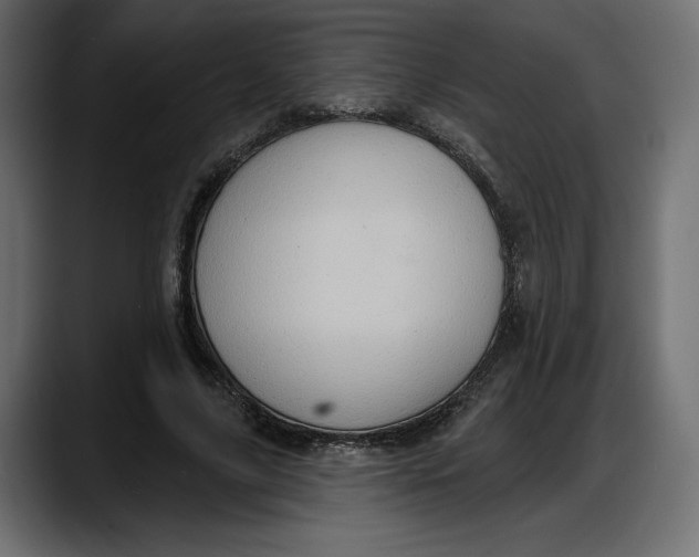 X0000087740635200705291013