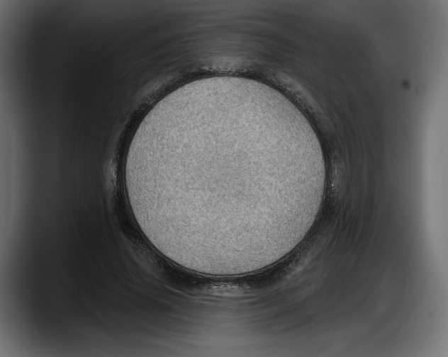 X0000087740636200705291013