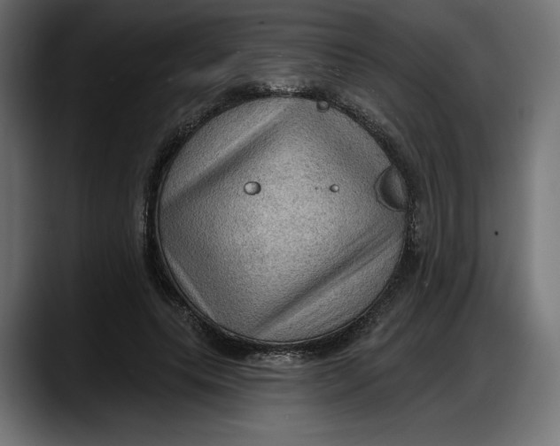 X0000087740639200705291013