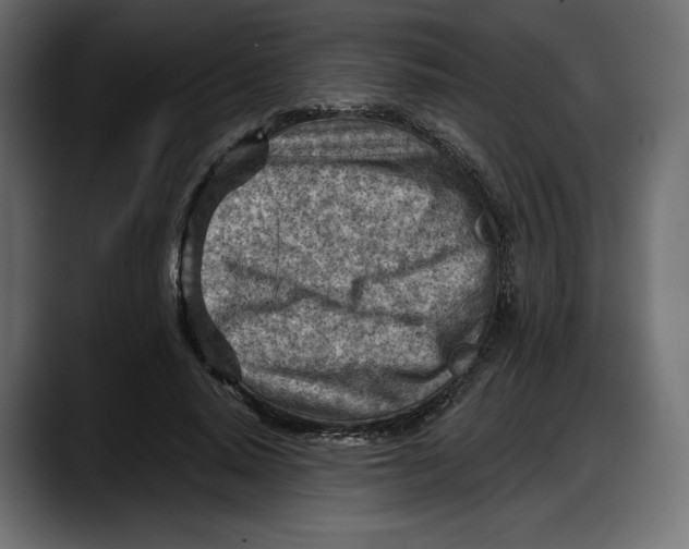 X0000087740640200705291013