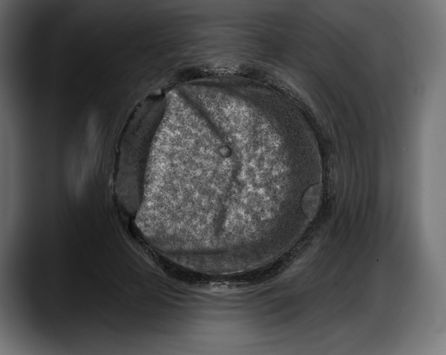 X0000087740641200705291014