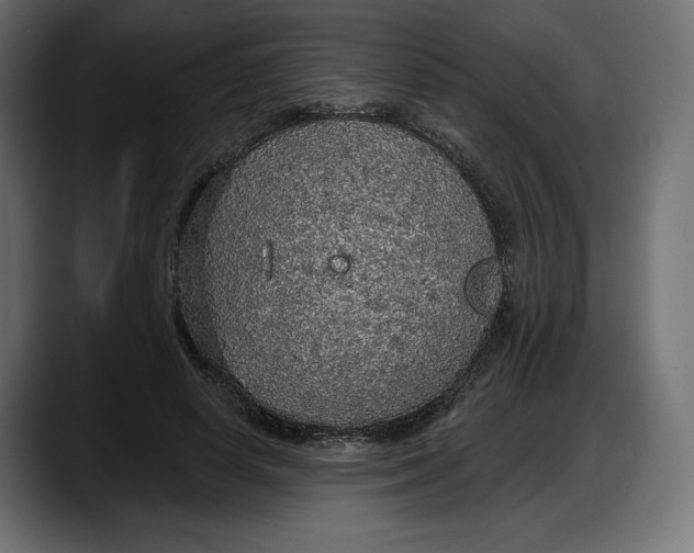 X0000087740642200705291014