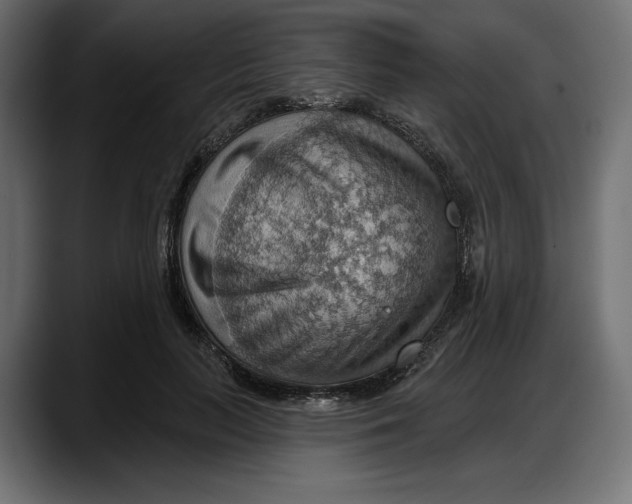 X0000087740647200705291014