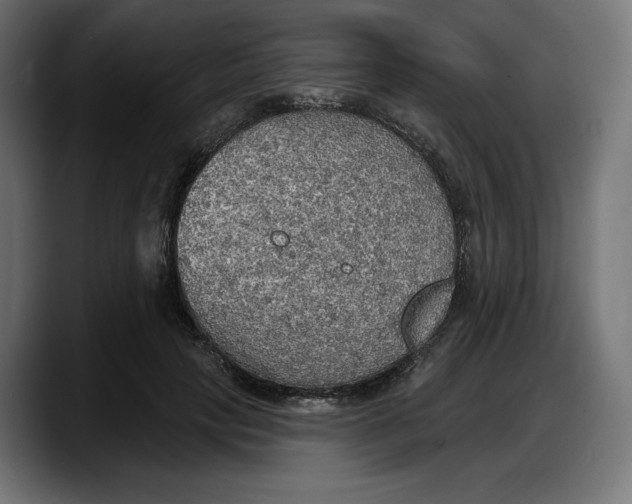 X0000087740649200705291014