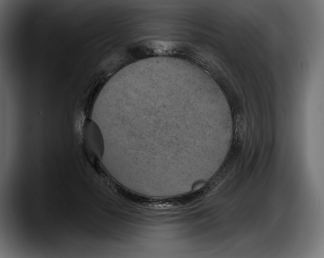 X0000087740650200705291014