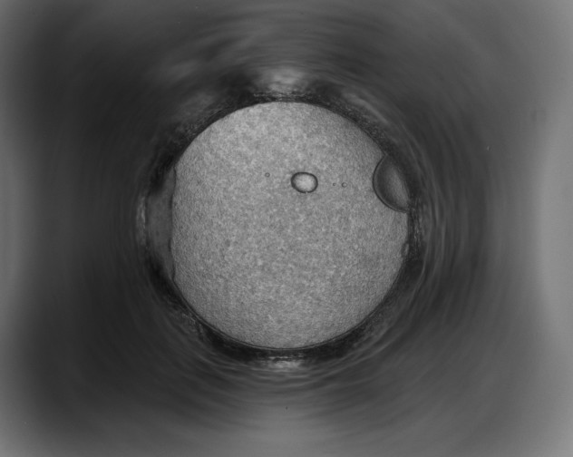 X0000087740651200705291014