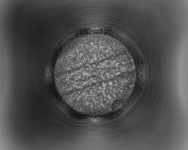X0000087740654200705291014