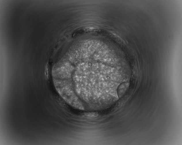 X0000087740659200705291014