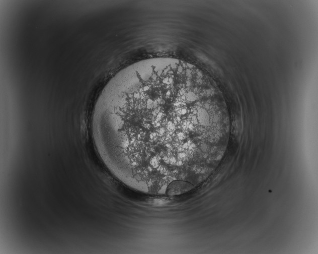 X0000087740662200705291014