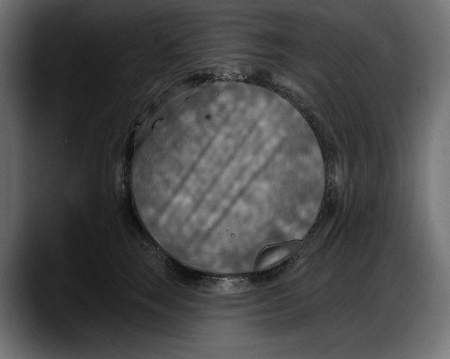 X0000087740663200705291014