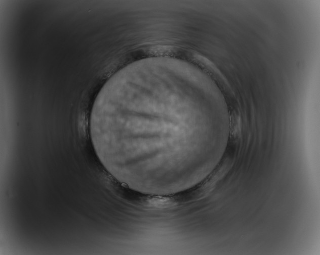 X0000087740669200705291014