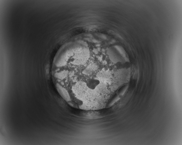 X0000087740670200705291014
