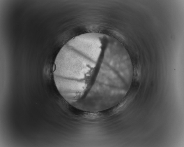 X0000087740671200705291014