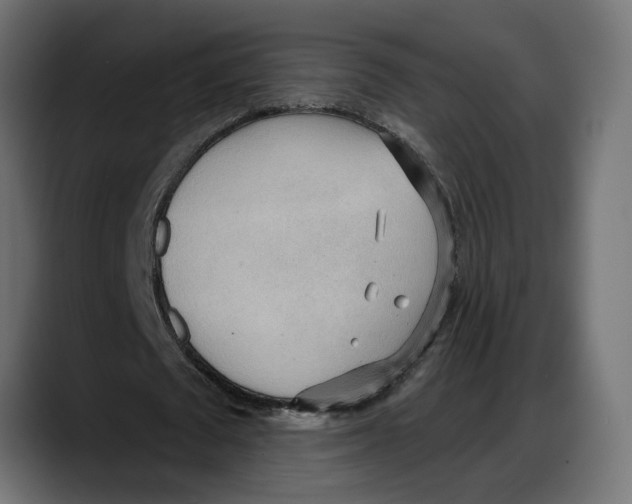X0000087740673200705291013