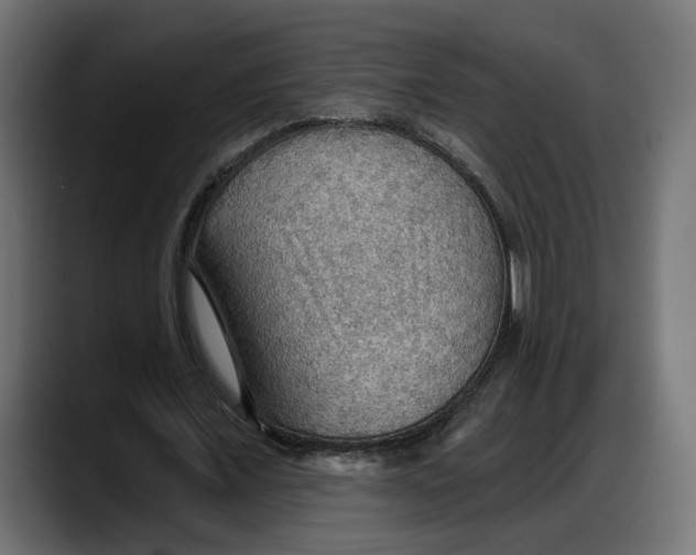 X0000087740675200705291013