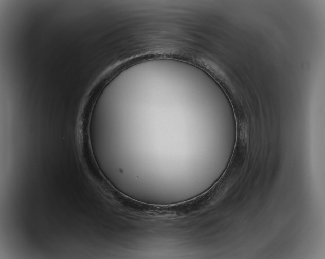 X0000087740676200705291013