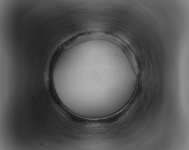 X0000087740677200705291013