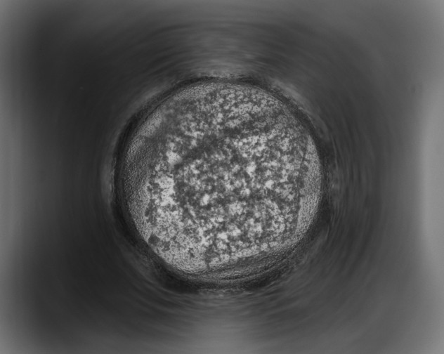 X0000087740679200705291013