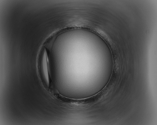 X0000087740680200705291013
