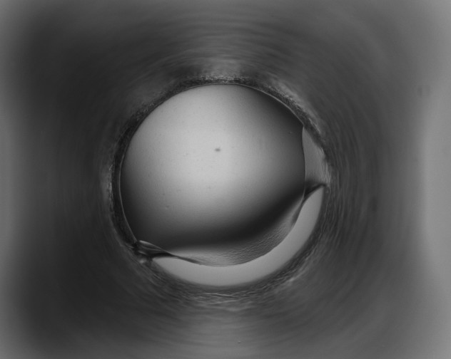 X0000087740681200705291013