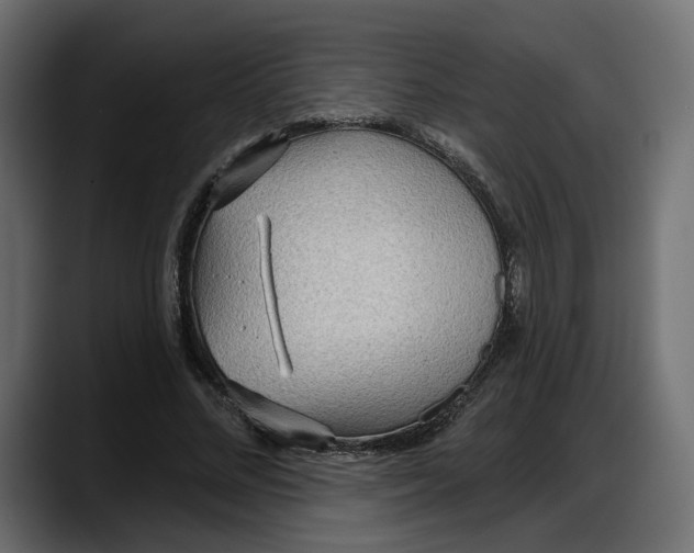 X0000087740684200705291013