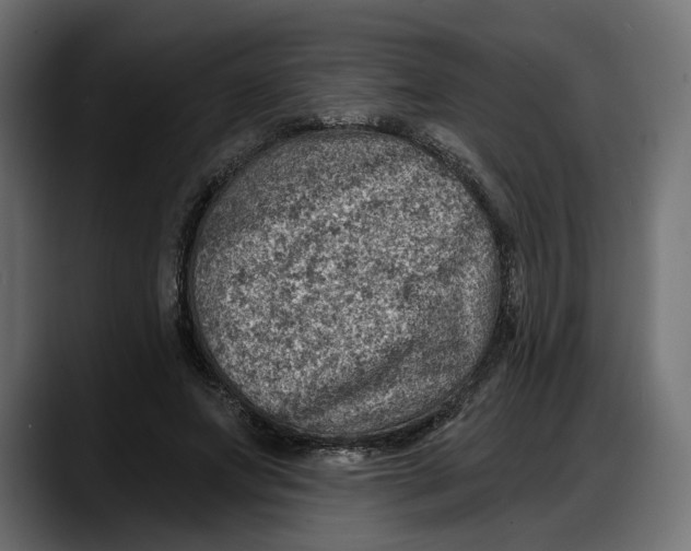 X0000087740687200705291013