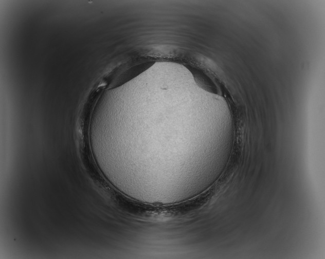 X0000087740688200705291013