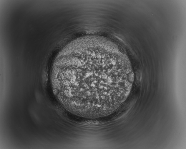 X0000087740691200705291013