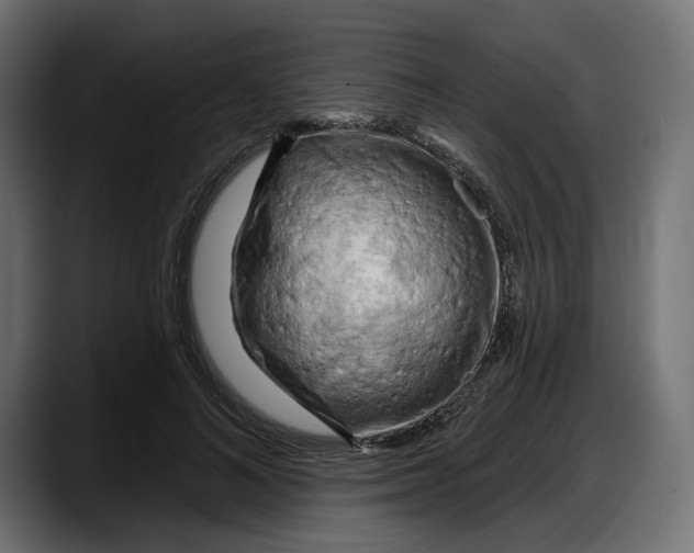 X0000087740692200705291013