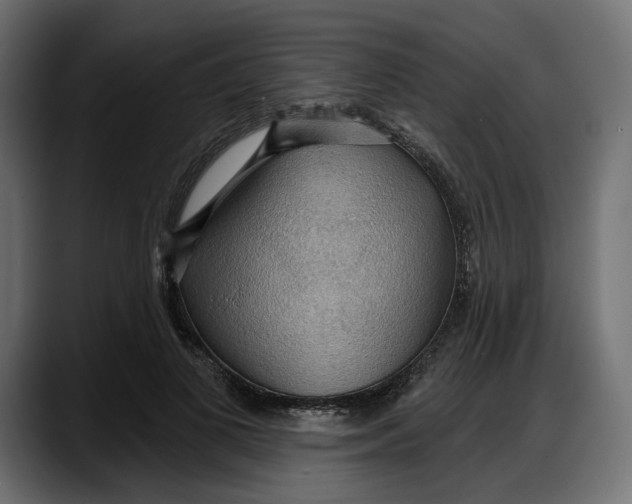 X0000087740693200705291013