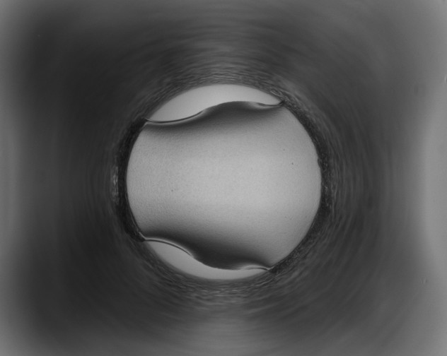 X0000087740696200705291013