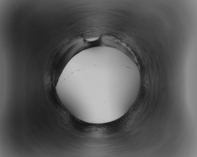 X0000087740697200705291013