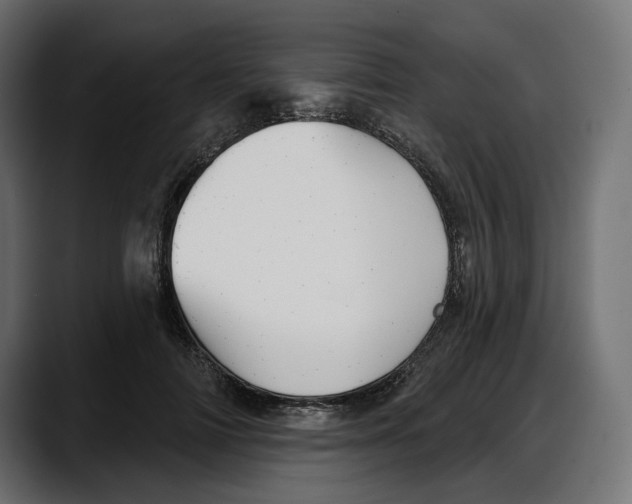 X0000087740698200705291013