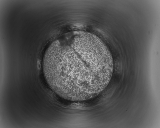 X0000087740699200705291013