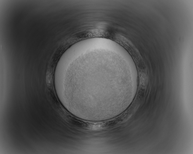 X0000087740701200705291013