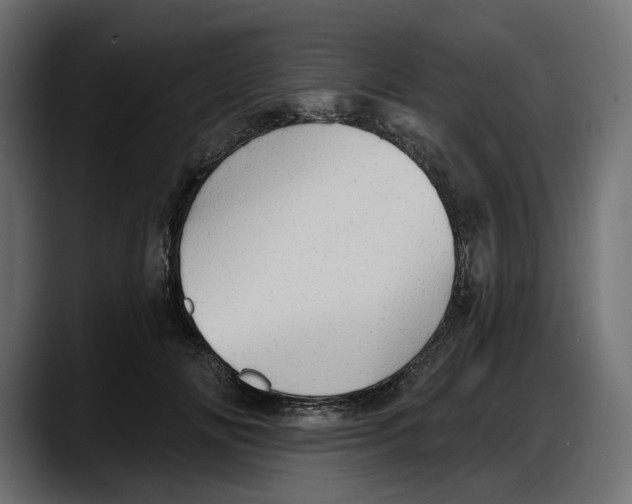 X0000087740702200705291013