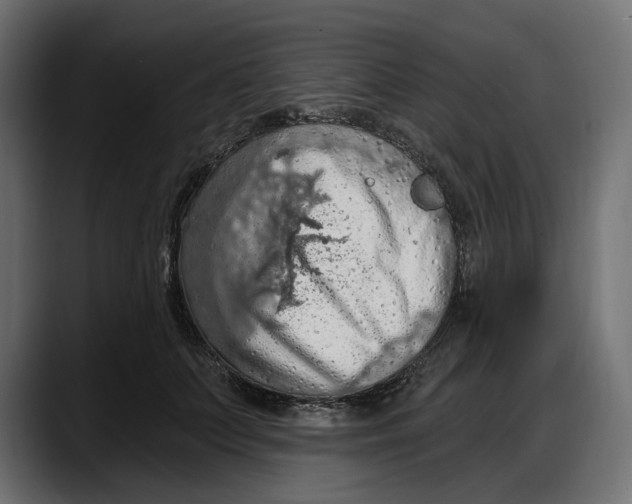 X0000087740703200705291013