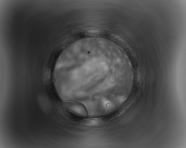 X0000087740711200705291013