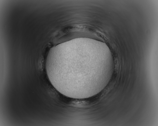 X0000087740712200705291013