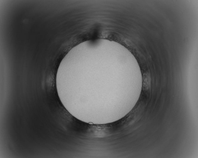 X0000087740713200705291013