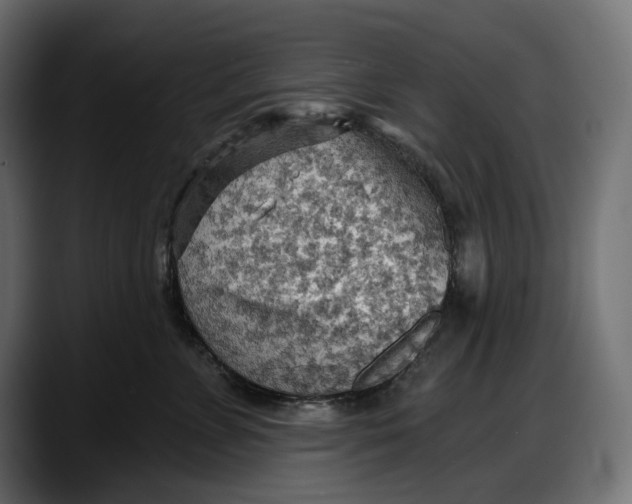 X0000087740715200705291013