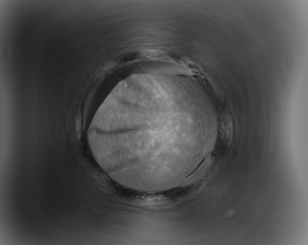 X0000087740716200705291013