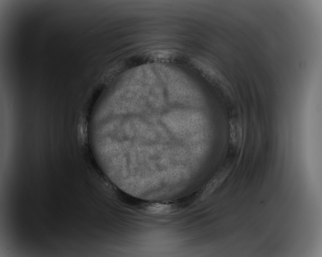 X0000087740718200705291013