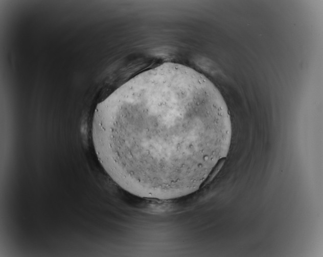 X0000087740720200705291013