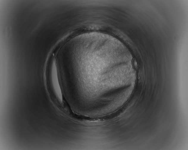 X0000087740722200705291012