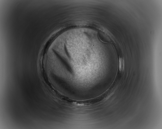 X0000087740723200705291012