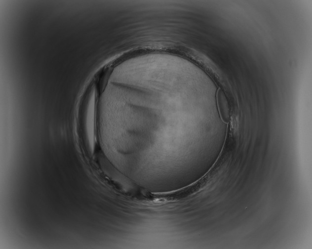 X0000087740724200705291012