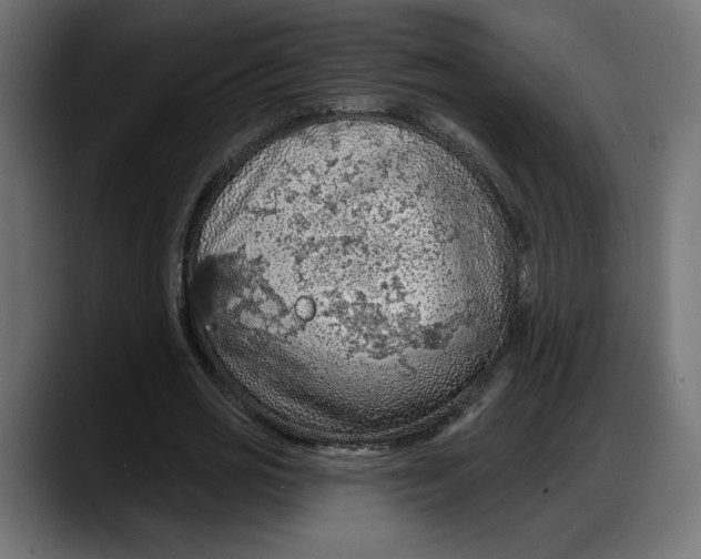 X0000087740725200705291012