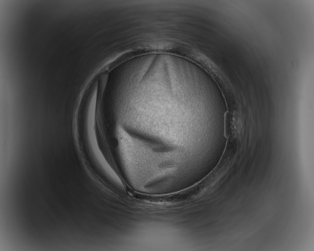 X0000087740726200705291012