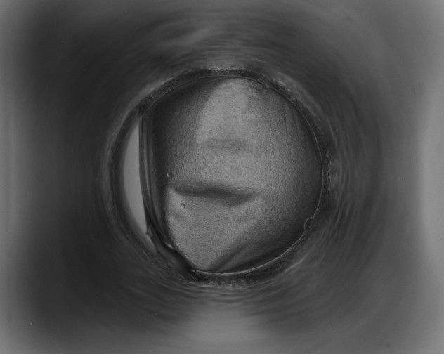 X0000087740727200705291012